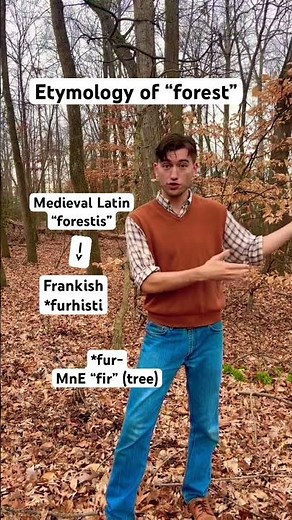 The word “forest” in English
