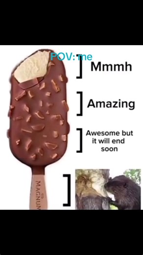 beaver_boi_chainsaw on TikTok