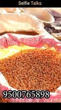 Kollimalai Belukurichi santhai - 2026 part 7 / cheap & best dal & pulses market#wholesale #spices