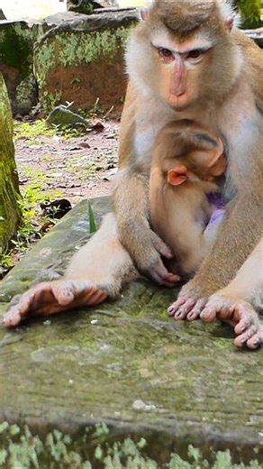 Luna’s cold actions hurt her baby deeply | Alien TV