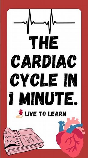 The Cardiac Cycle | Cardiovascular Physiology