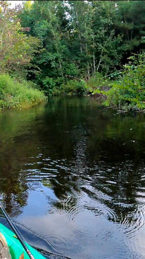 442K views · 8.7K reactions | Great bass here from yesterday  #gopro #theminnow007 #bass #fishing #vlog | Milo Dickson | Facebook