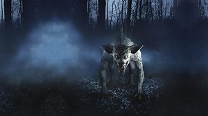 Cryptid: The Chupacabra