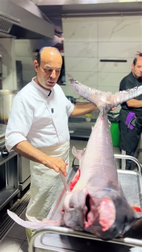 Poisson Frais au Restaurant le Dauphin - Arrivage du Jour