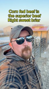 I knew you’d come around eventually welcome to the corn fed mafia Sweet Briar Farmer #agriculture #cattle #cornfed #grassfed #cows #farming #satire #farmlife | Whispering Cypress Homestead - Thornton Farms