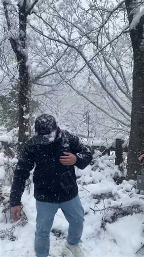 FALLING SNOW AT SHIRAKAWAGO!