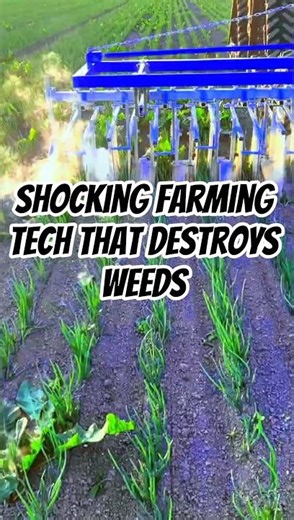 Electro Weeder Machine: Shocking Way to Kill Weeds - Tools and machine project