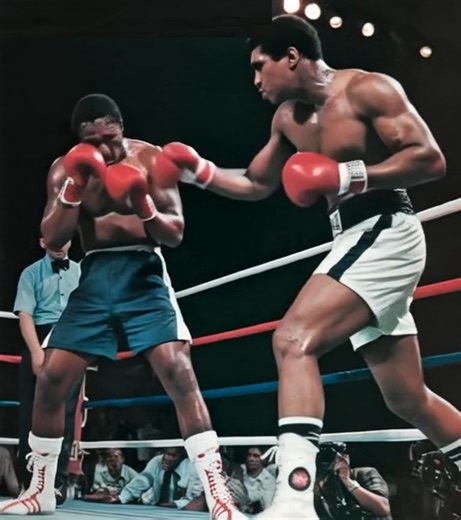 #muhammadali #boxing | The Legend of Muhammad Ali