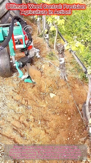 Ultimate Weed Control: Precision Agriculture in Action! ✨