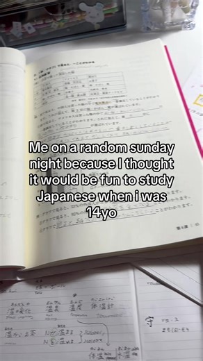 Studying Japanese: A Journey from Age 14