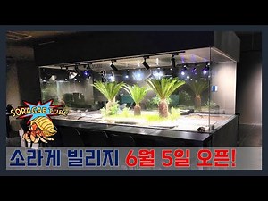 Sora-ge Village opens on June 5th!