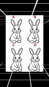Which rabbit 🐇 is different? #education #prizes #quiz #fun #fblifestyle | iPhone Quiz