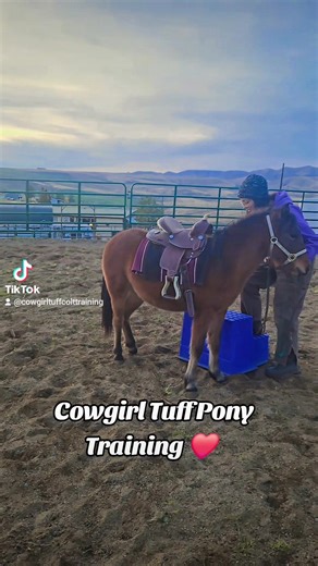 3.1K views · 107 reactions | My Little Pony Adventures! ❤️  Yes, I do start ponies too. I am small but mighty. I weigh a whopping 108lbs and I am for all sizes!  #mylittlepony #ponies #pipsqueak #pintsize #mini #littlepony #adventures #allsizes | Cowgirl Tuff Colt Training | Facebook