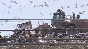 DFW Landfill is Nearing Capacity, Closure Expected in 3 Years