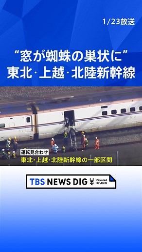 乗客「窓が蜘蛛の巣状に割れた」 東北・上越・北陸新幹線 運転見合わせ続く #tbs #tiktokでニュース
