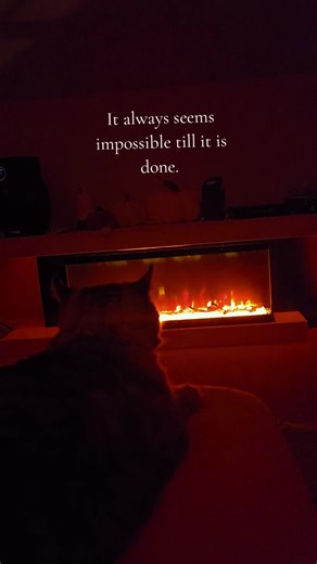Doom scrolling checkpoint, take a deep breath by the fire with Neo. #fyp #inspirationalquotes #doomscrolling #fireplace #catlover