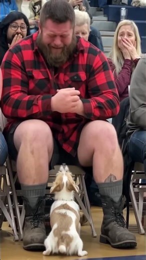 Watch Who This Rescue Dog Chooses