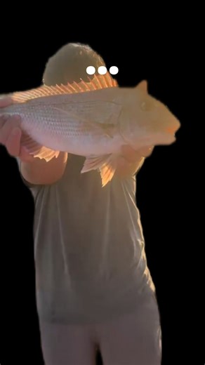 Spot Fishing Techniques for Snapper Enthusiasts
