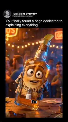 The Explain Guy on Instagram: "Alcohol affects people differently, which is why there are several commonly observed types of drunk behavior. Some individuals become talkative drunks, speaking excessively and sharing thoughts they would normally keep private due to lowered inhibitions. Others turn into happy or energetic drunks, laughing easily and feeling overly confident. There are also emotional drunks, who may become unusually sad, nostalgic, or sensitive as alcohol intensifies underlying emo