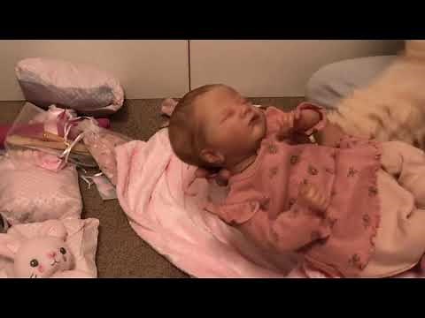 Adorable Reborn Baby Box Opening! Meet Charlotte!