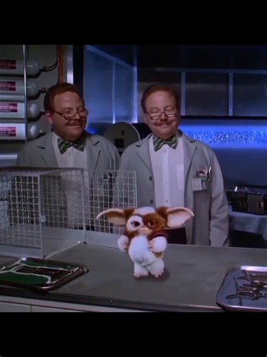 Last train to london #gizmo #gremlins #parati #fyp #humor