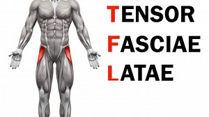 The psoas has become the sexy hip flexor muscle to talk about and work on. But what if I told you that all too often the TRUE culprit of our back, hip, IT BAND, knee pain and even ANKLE pain had to do with ANOTHER hip flexor muscle?! What if I told you that you should actually be paying attention to your TFL or your Tensor Fasciae Latae... For more tips on getting your glutes, especially your glute medius activated, check out this post: --> https://redefiningstrength.com/the-most-overrated-glute