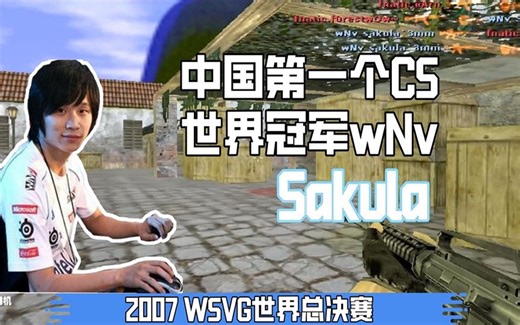 CS世界大赛 中国第一个CS世界冠军wNv大战fnatic 顶级中外对抗赛