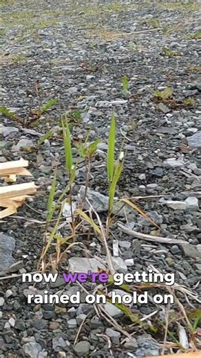 The Magic of Pyro Putty for Campfires 🔥10