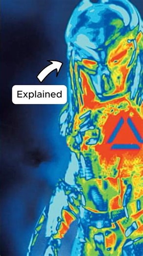 Predator Heat Vision Explained #predator #predatorbadlands #movie #explained #shorts