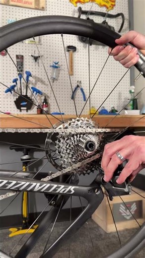 Installing a rear road bike wheel