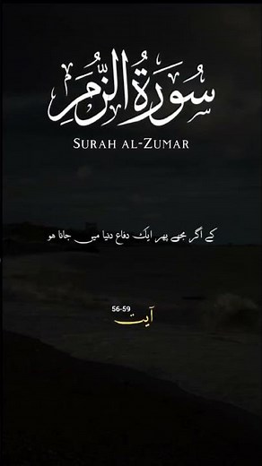 Surah Az-zumar Ayat 56-59 with Tafseer and (translations)#quran #qurantranlations #quranreciations