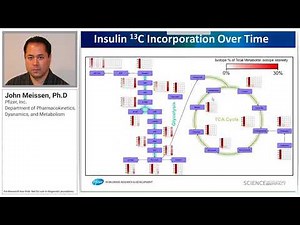 Metabolic Flux Analysis Reveals Mechanistic-Based Changes after Muscle AMPK Activation