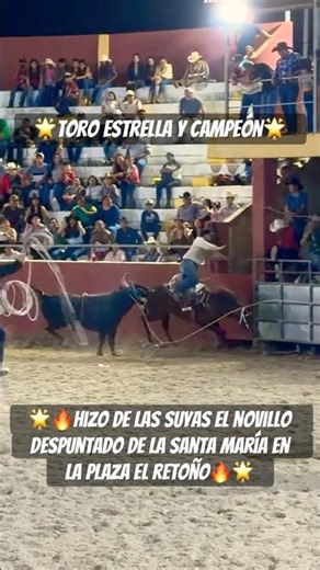 🔥The Bull from Santa Maria Did Its Own Thing 🔥 #filmschoyohd #traditions #bulls