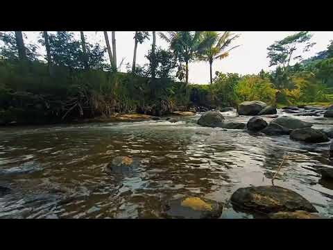 2 Minutes of Heaven | Soothing River Flow & Birds Chirping ASMR