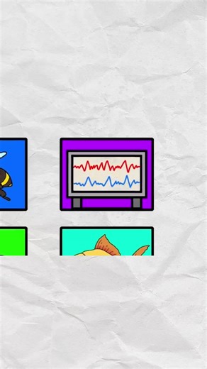 Debunking Common Misconceptions Everyone Believes