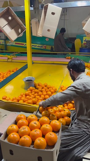 35K views · 957 reactions | ❤️ | KMC Fruits | Facebook