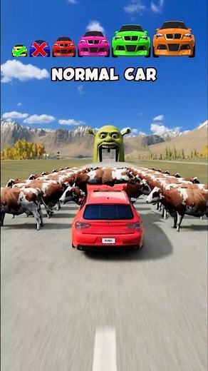 Cow vs Big & Small Cars
