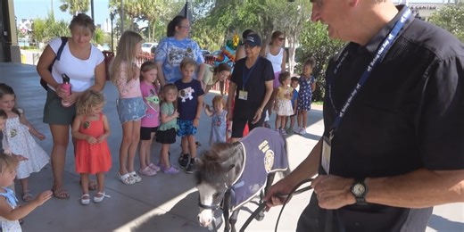 Horse Capital TV Highlights Horse Reading Program
