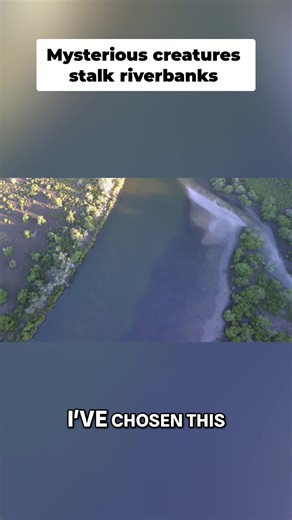 Exploring Yowie Sightings and Junjudee Legends