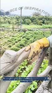 DIY Concrete Imitation Wood Railings for Beginners