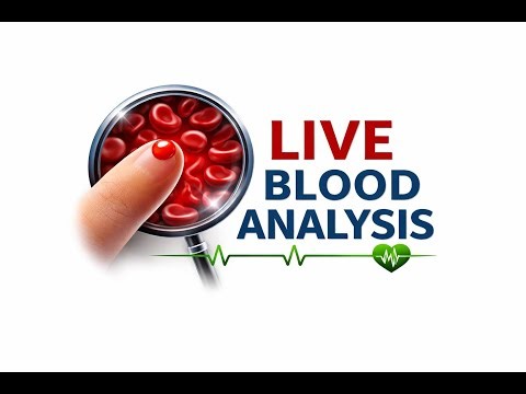 Live Blood Analysis Visual Health Insight