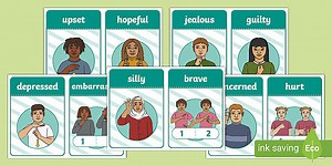 Auslan Emotions Flashcards