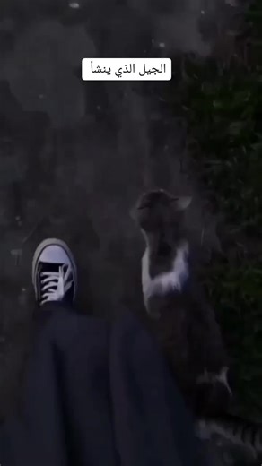 #الجيل #الذي #ينشأ #يامسلمين #الاطفال_احباب_الله #الاطفال_جنة_الدنيا