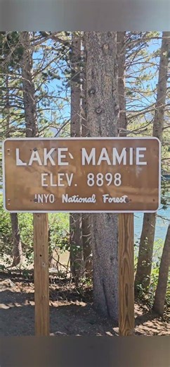 1966 VW Fastback turbocharged with Fitech Injection. #turbo #vw #volkswagen #fitech #type3 #boost