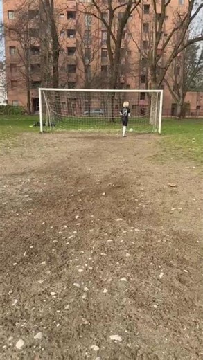 Zidane Italia Francia 2006