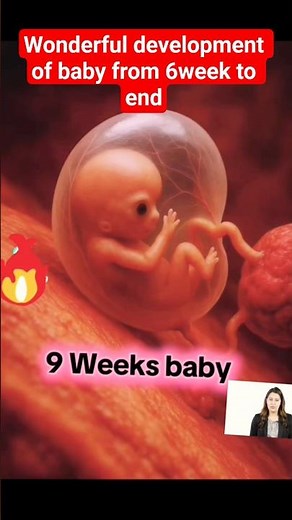Fetus Development From 6 Weeks to Birth | Amazing 3D Pregnancy Growth Timeline