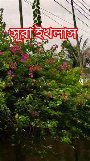 সূরা ইখলাস তিনবার পড়ুন অথবা শুনুন #share #viralvideo #furyuo
