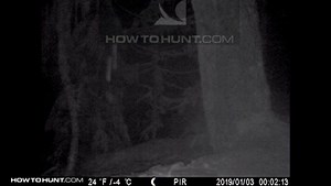 1.6K views · 5 comments | Wait for it 臘‍♂️. New chapter on the app to help do something about it. Blacktail Hunter by Howtohunt Outdoors Ltd. https://itunes.apple.com/ca/app/blacktail-hunter/id1111734338?mt=8 https://play.google.com/store/apps/details?id=com.howtohunt.howtohuntblacktaildeer&hl=en_CA | Black Tail Hunter - app | Facebook