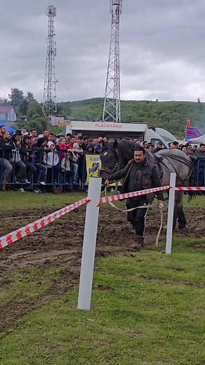 342 reactions | Adina Manolache | Roxana Gheorghiu | Facebook