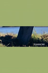 Teamwork - Movie